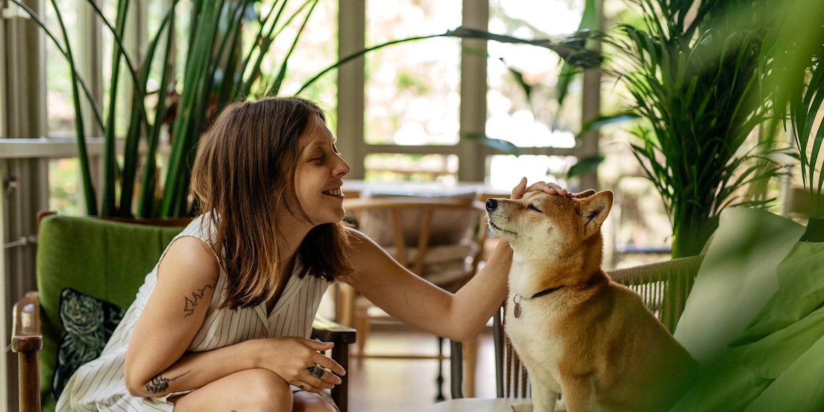 10 emplois les mieux rémunérés pour les amoureux des animaux