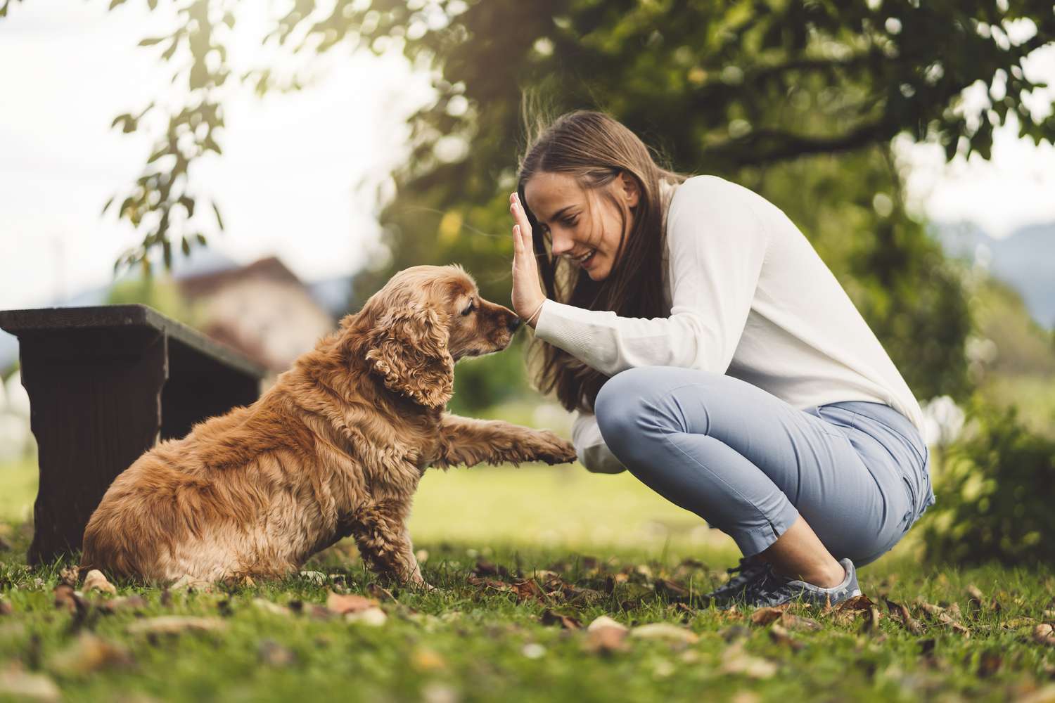 Types d'assurance pour animaux de compagnie