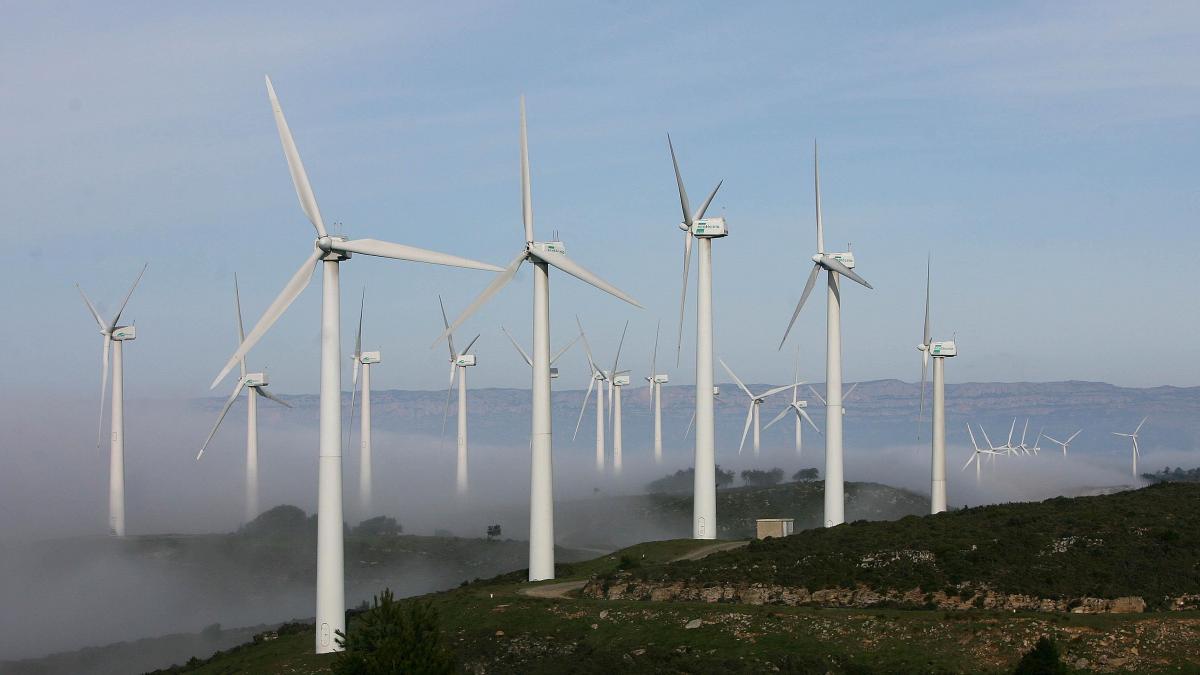 La nouvelle ère de durabilité atteint les entreprises en 2024 : voici l’impact de l’ambitieuse directive CSRD
