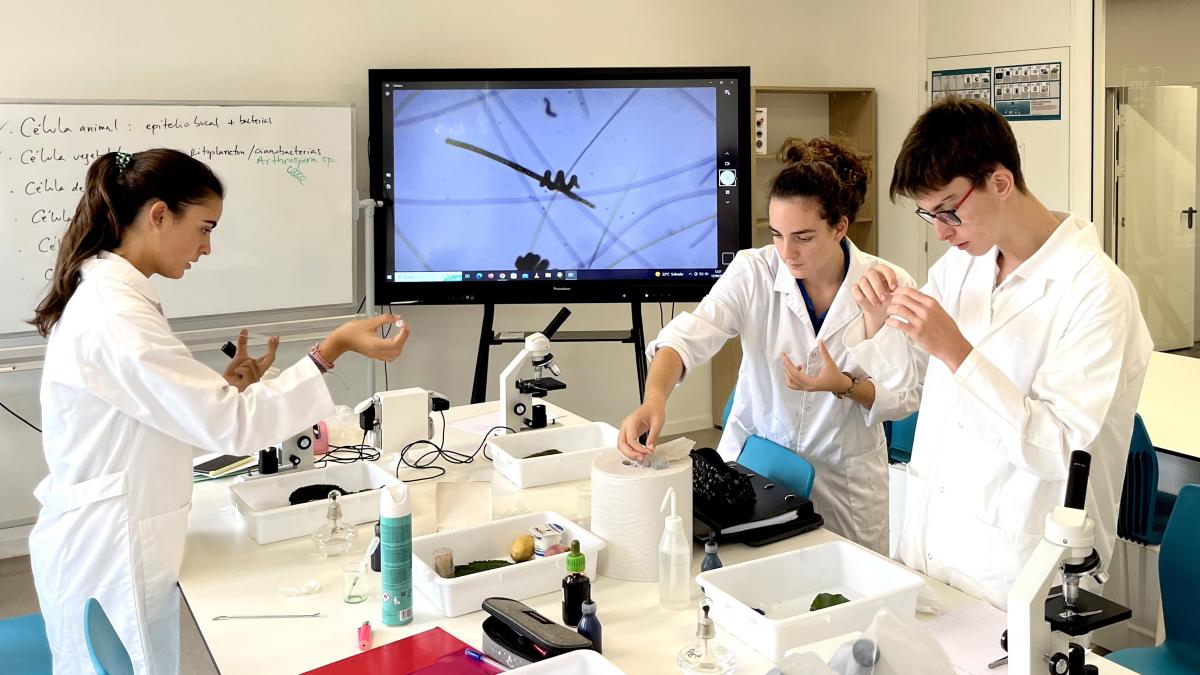 « L’innovation en éducation est l’essence de la pédagogie française »