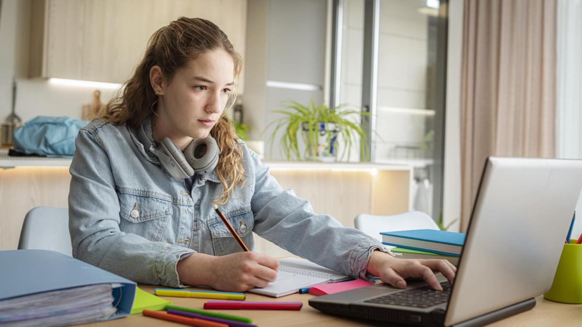 La formation professionnelle en ligne apparaît clairement comme l'alternative la plus recherchée par les jeunes