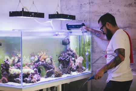 Spécialiste de l'aquarium et de la terrarias