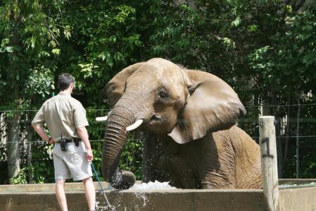 Spécialiste des animaux exotiques zoologiques