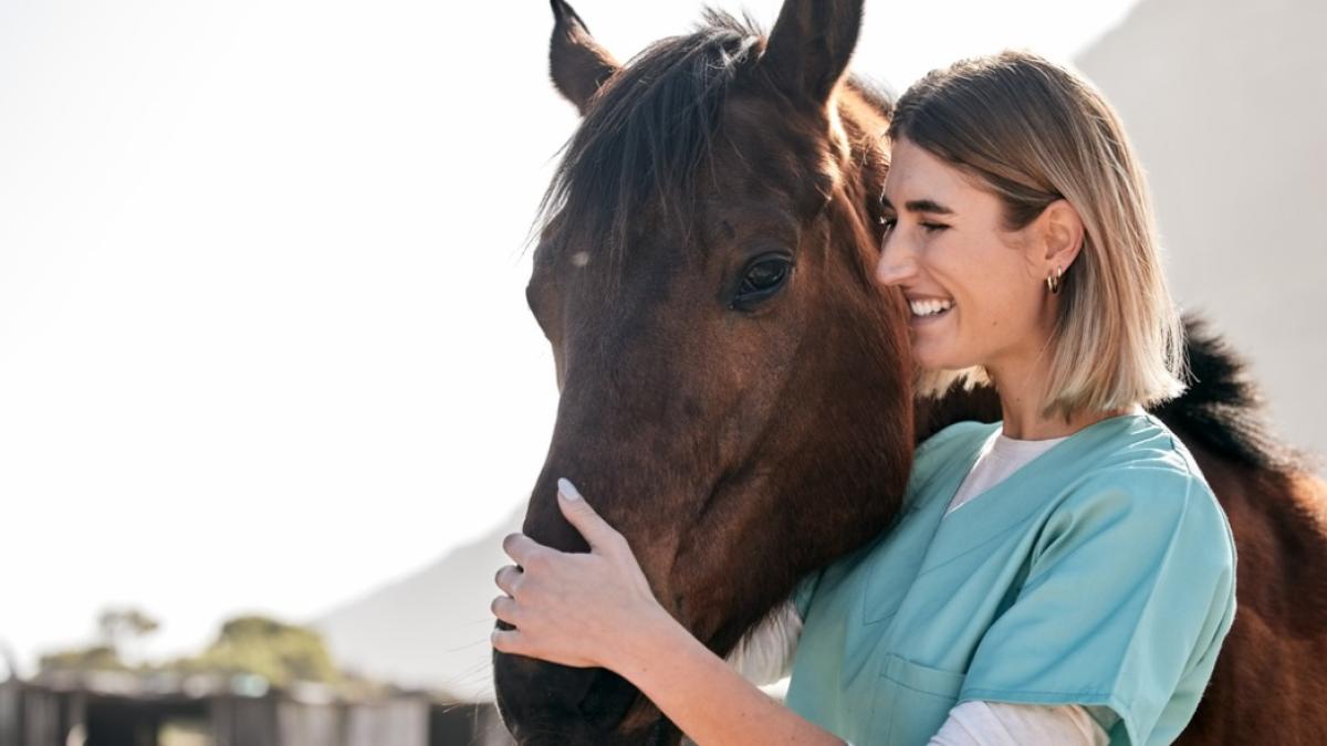 Formations pour travailler avec les animaux: transformez votre passion en profession!