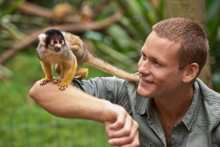 Primates et grands mammifères