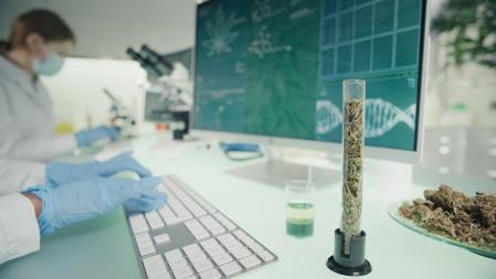 Bioestadistique et bioinformatique