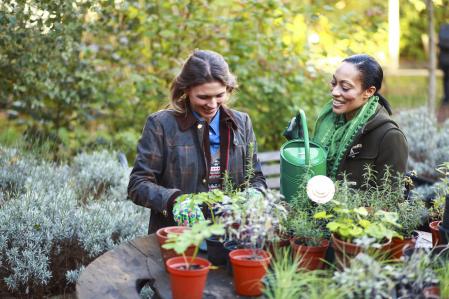 Cours de jardinage et d'aménagement paysager