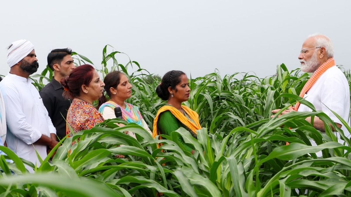 PM-Kisan Samman Nidhi Yojana 20th installment to be released today; when will it happen?